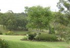 Glenaireresidential-landscaping-40.jpg; ?>